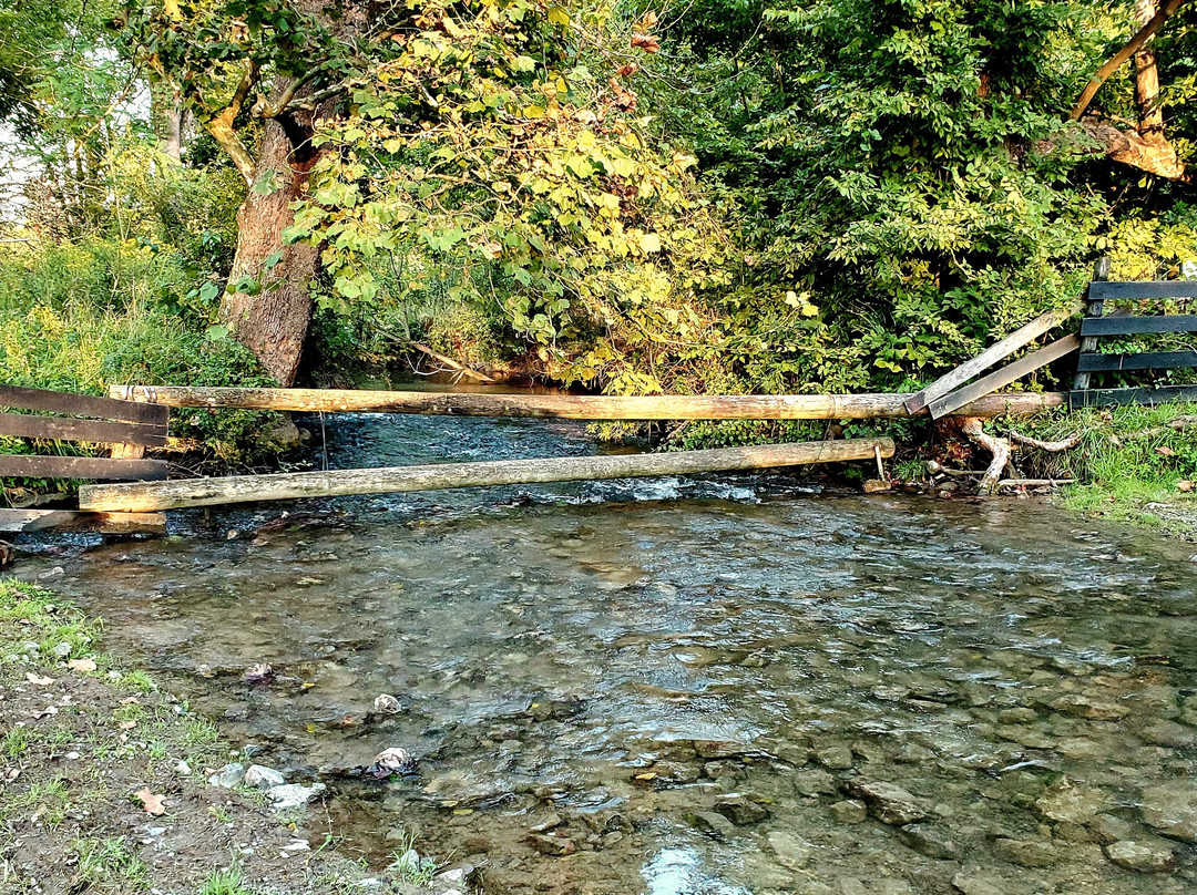 Smithfield Farm Bed and Breakfast主图