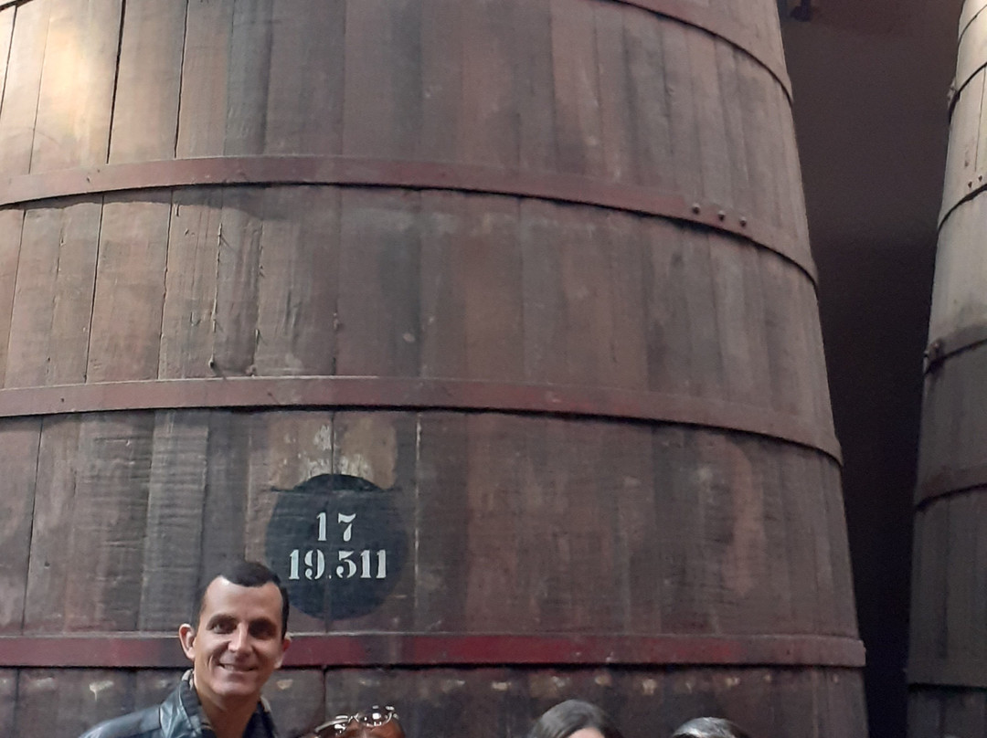 Vina Santa Carolina-圣地亚哥必去景点