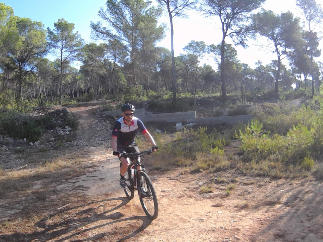 Snakebite MTB Adventures景点图片