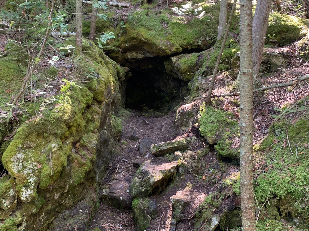 Little Cove Beach-托伯莫里必去景点