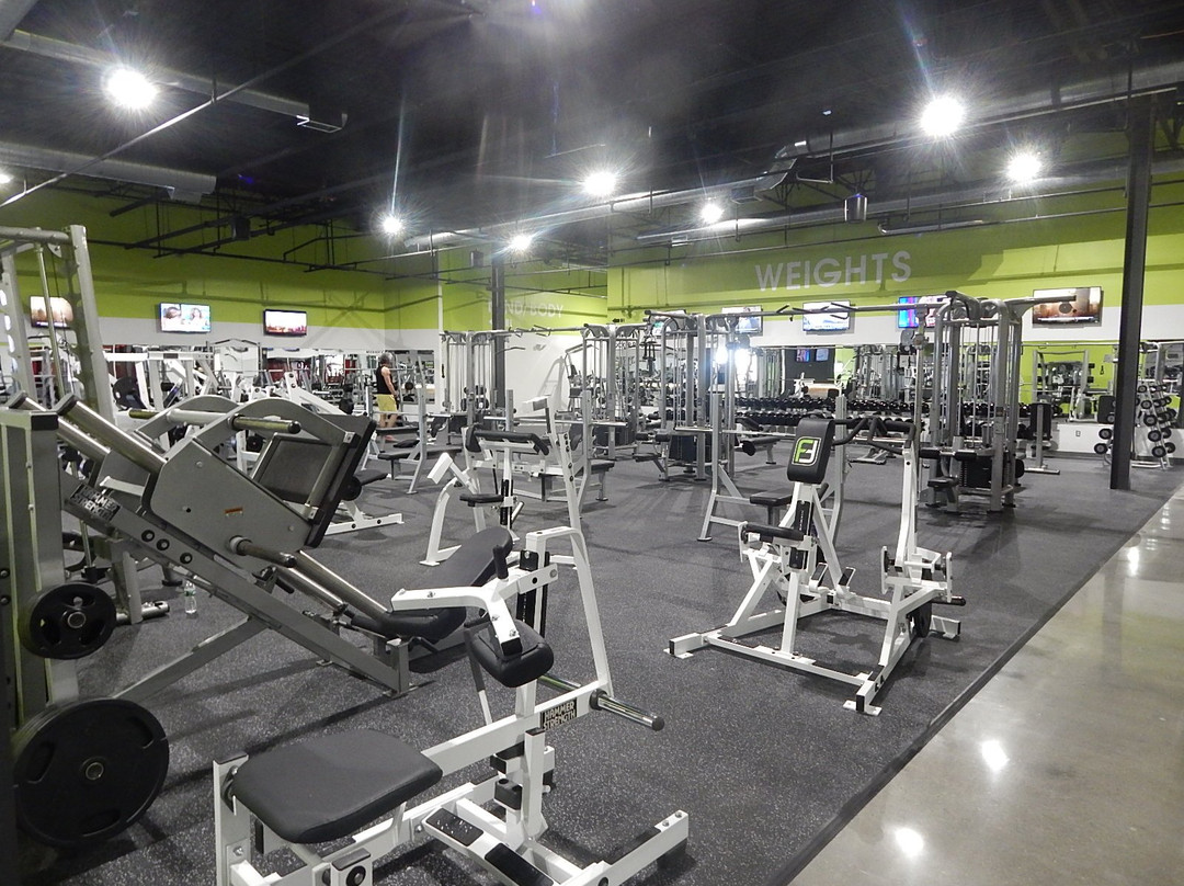 Kingston Collection-Kingston必去景点