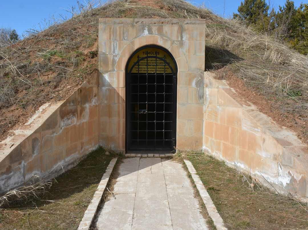 Sivas Arkeoloji Muzesi景点图片