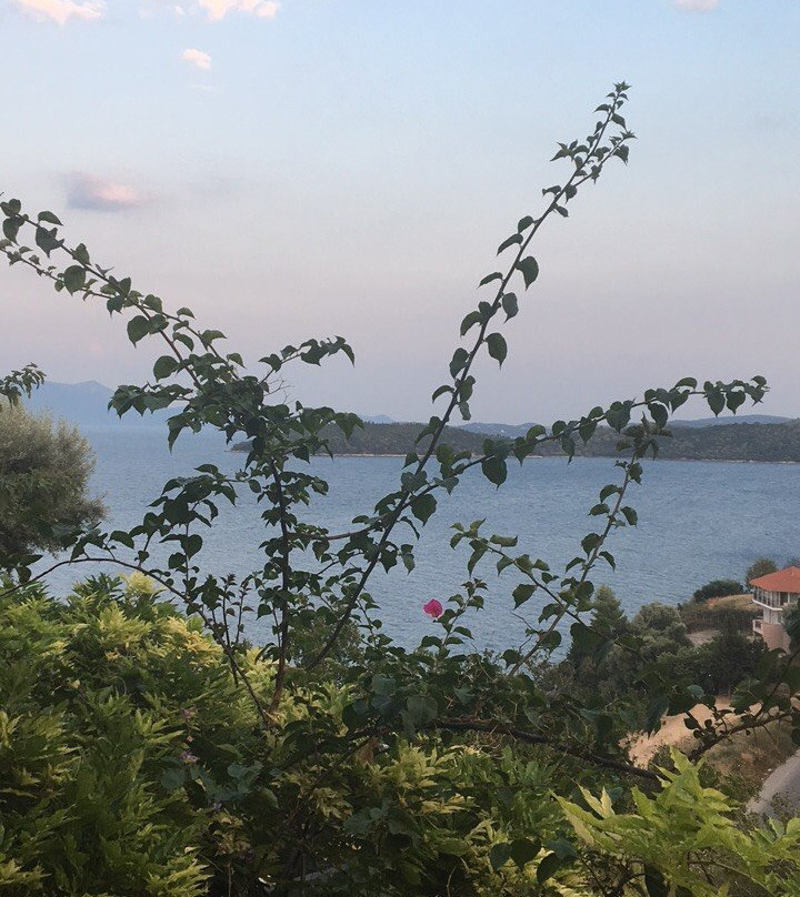 Red Tower Hotel and Suites主图