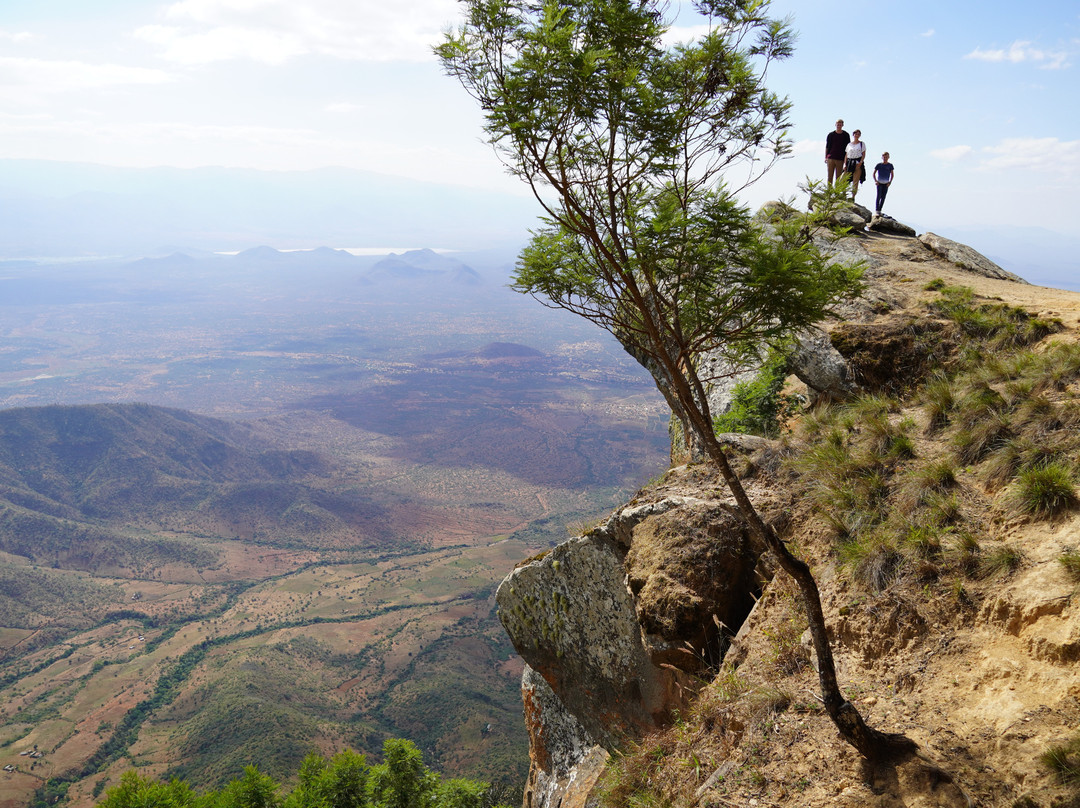 MamboViewPoint主图