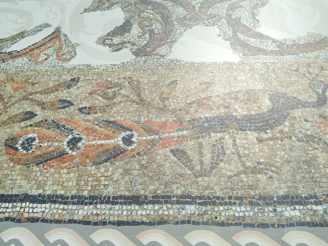 Il Parco Archeologico di San Leucio-Canosa di Puglia必去景点