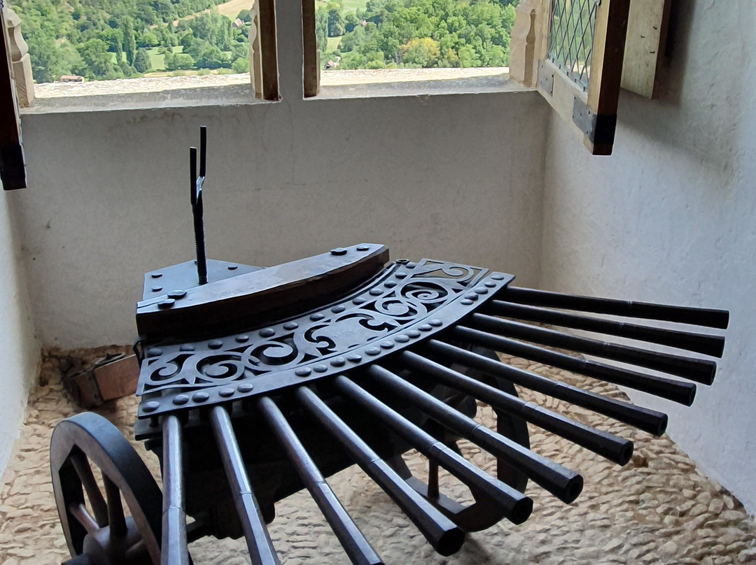 Château de Castelnaud景点图片