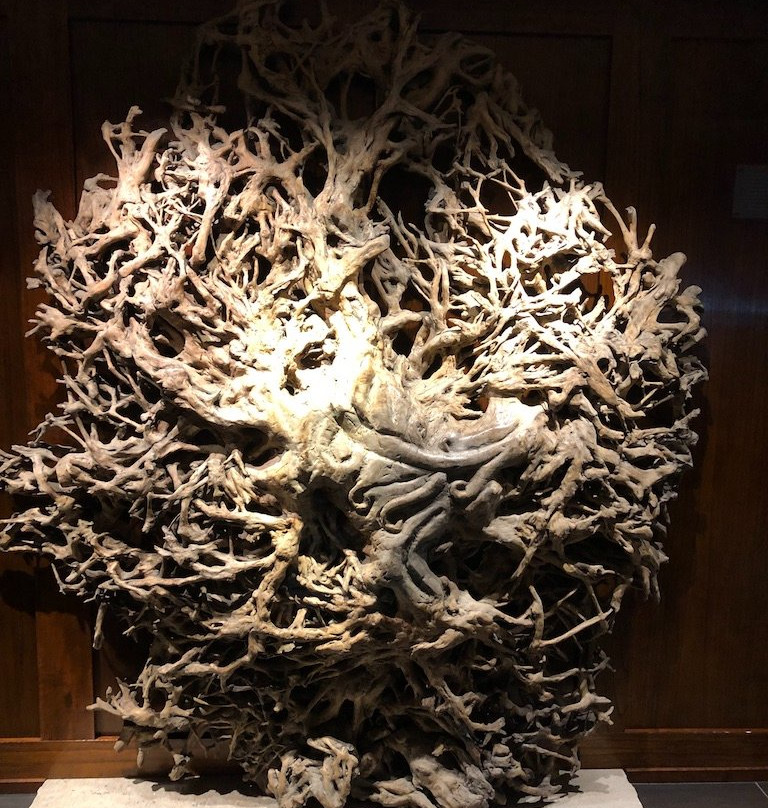 Inn On Woodlake主图