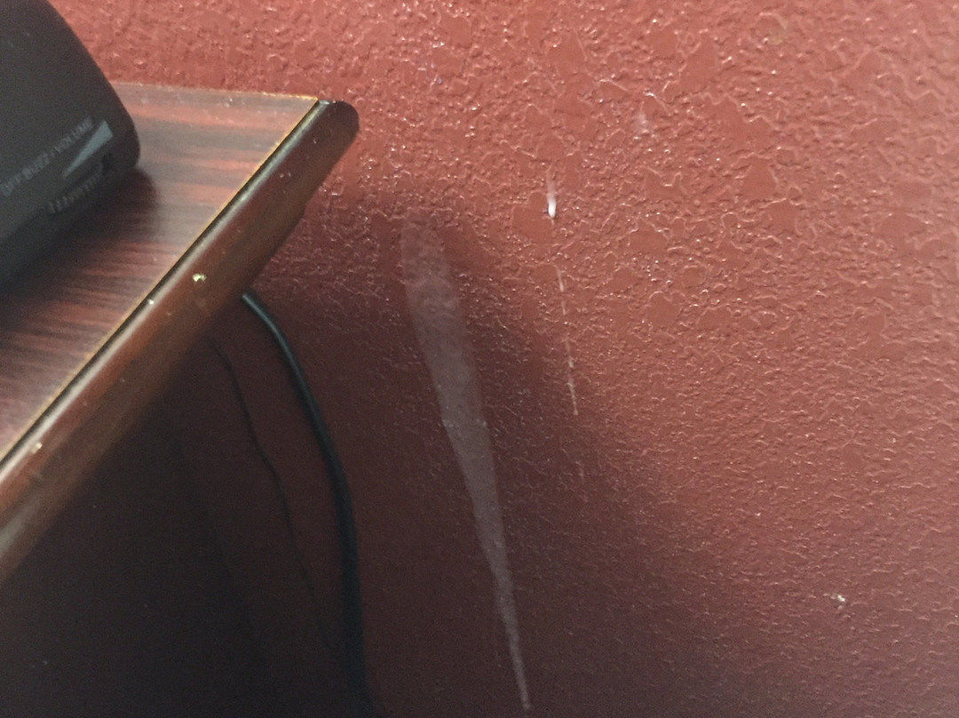 Red Roof Inn & Suites Detroit - Melvindale / Dearborn主图