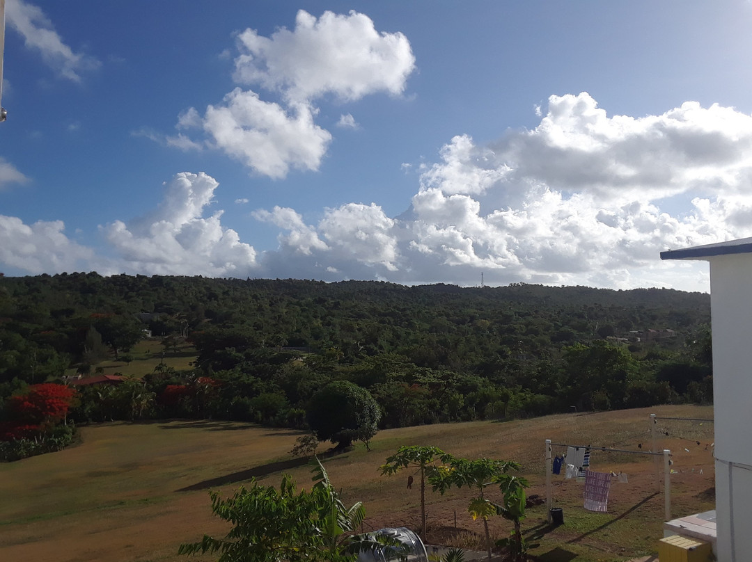 Great Escape Bed & Breakfast Inn主图