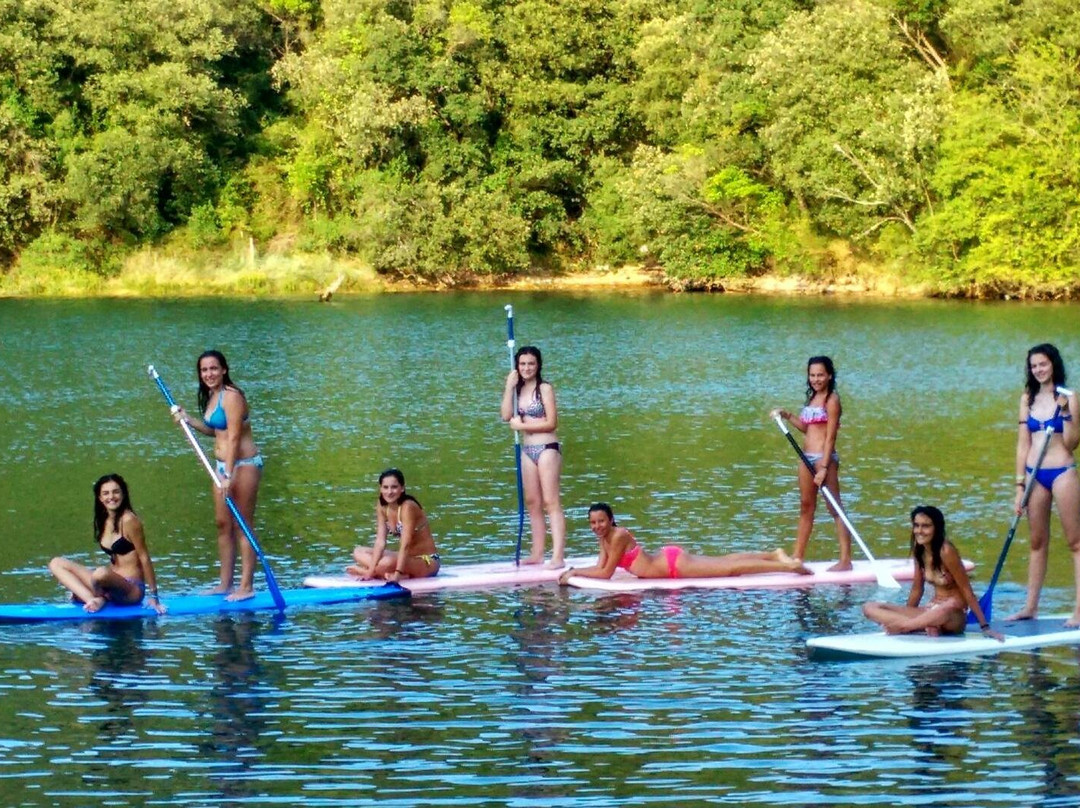 Flyschsurf Zumaia景点图片