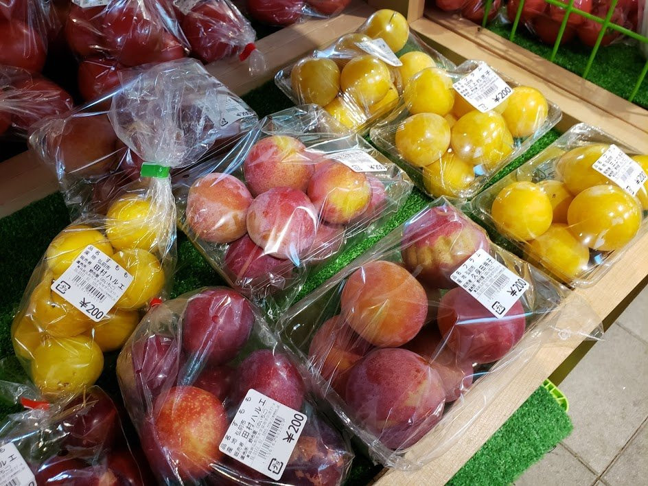 西目屋村餐馆和美食-Noichigo