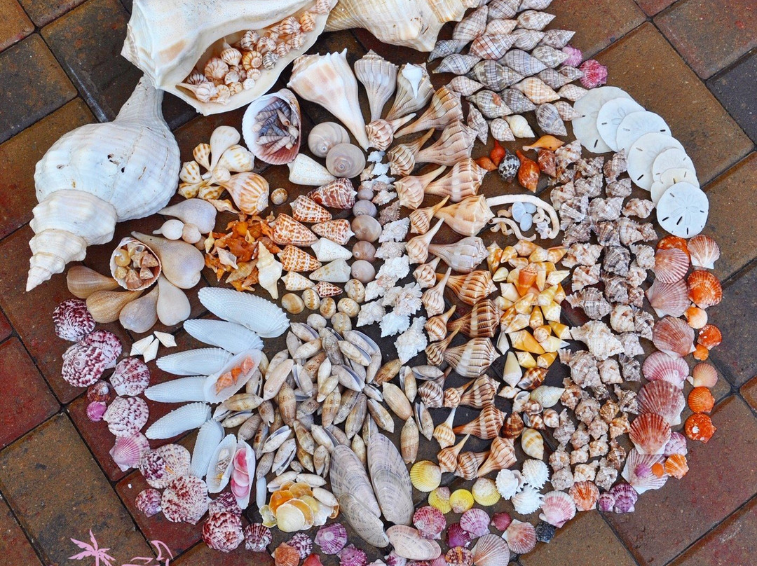 Reel Kind Fishing and Tours-Goodland必去景点