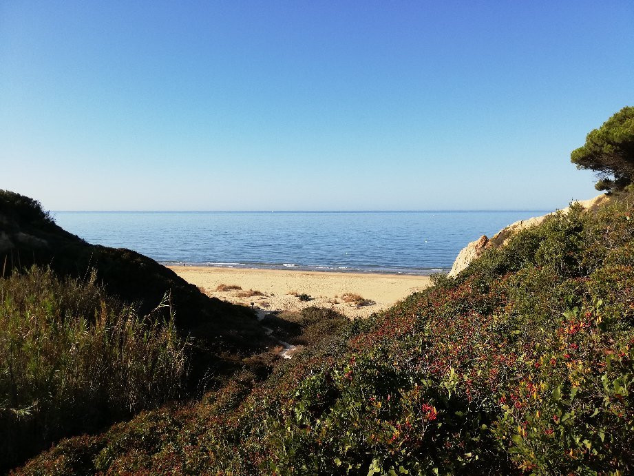 Playa Torre de Rio de Oro景点图片