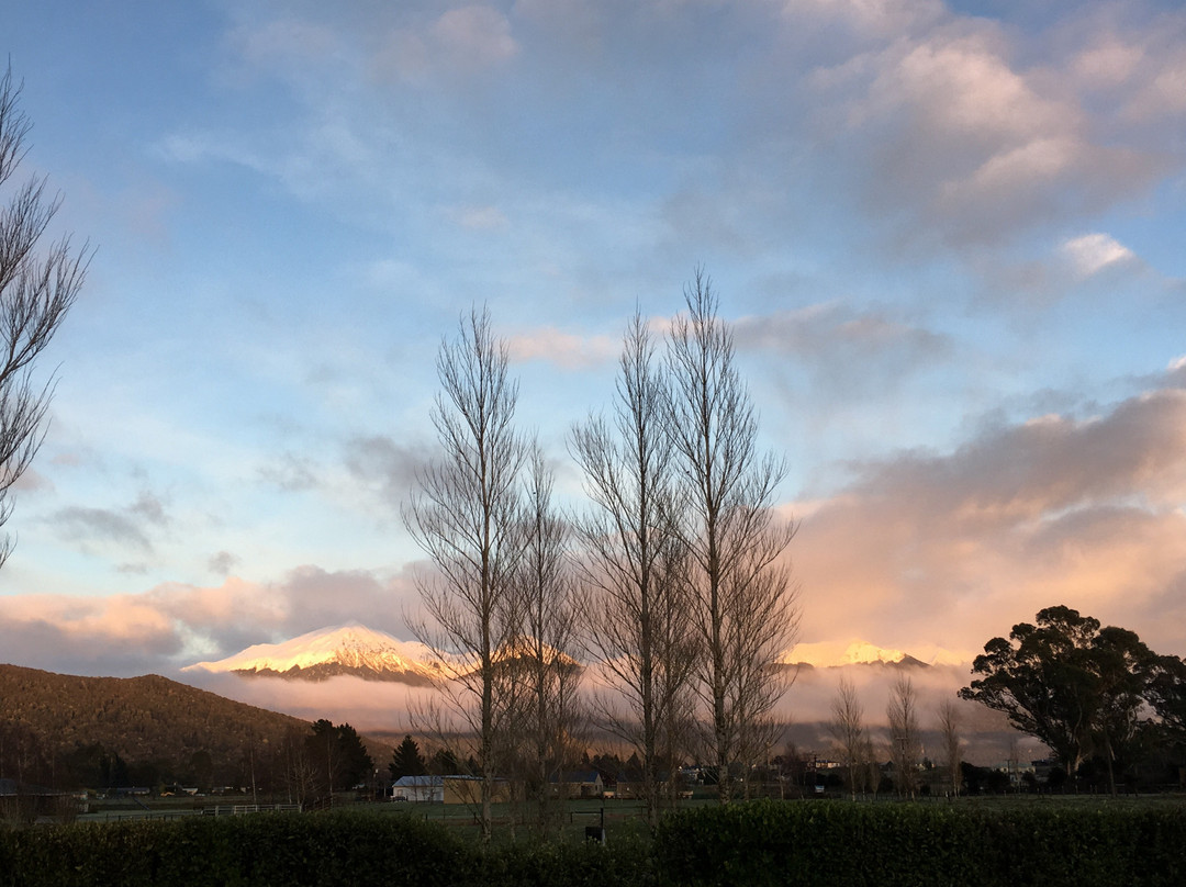 Kepler Mountain View主图