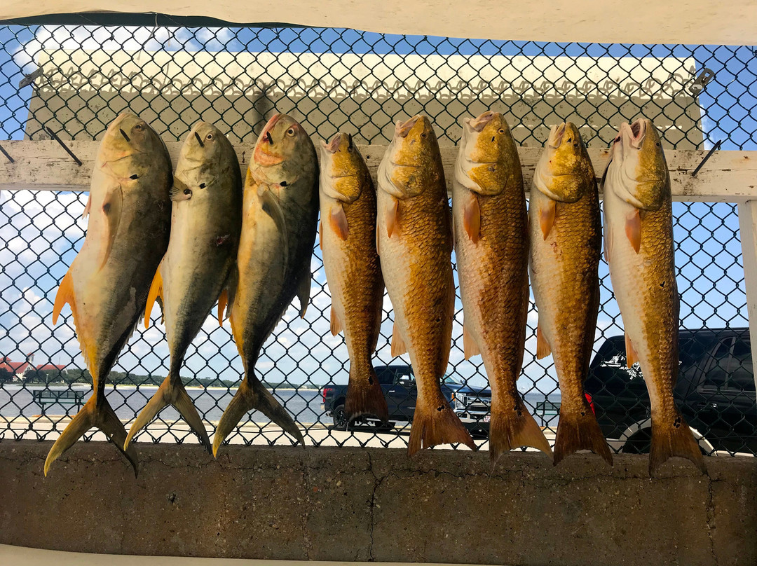 Fishing Frenzy Charters景点图片