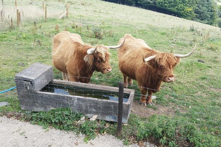 Friendly Highland Tours-因弗内斯必去景点