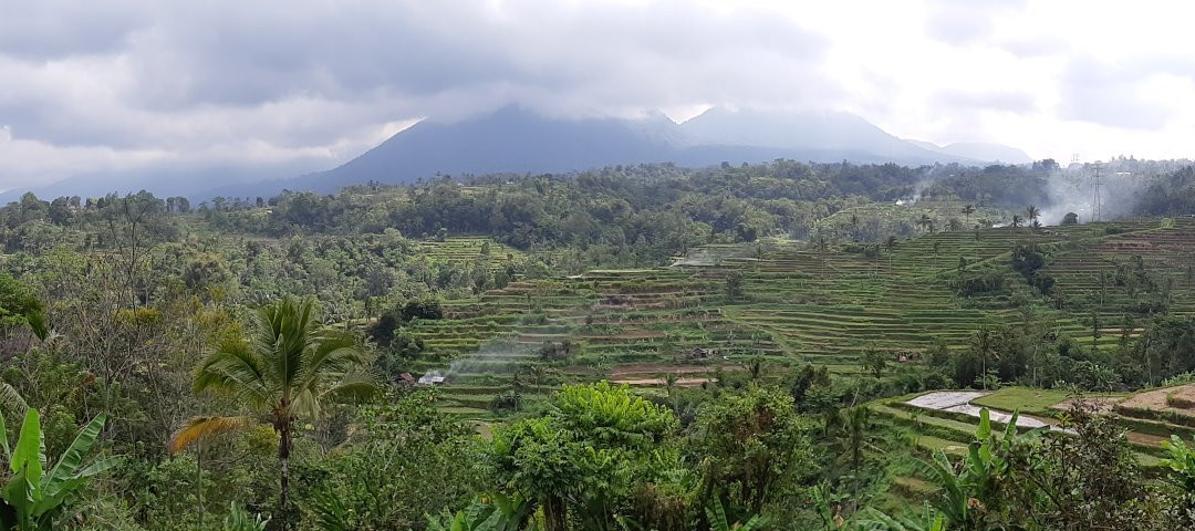 Ubud Fun Tour-乌布必去景点