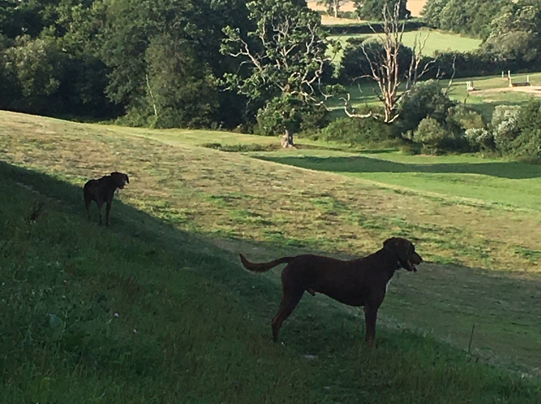Moggerhanger Park B&B主图