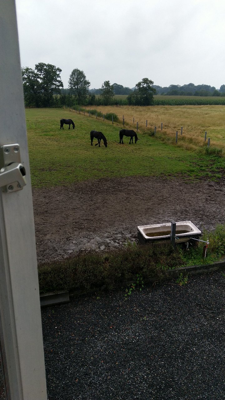 The Black Horse B&B & More-官方