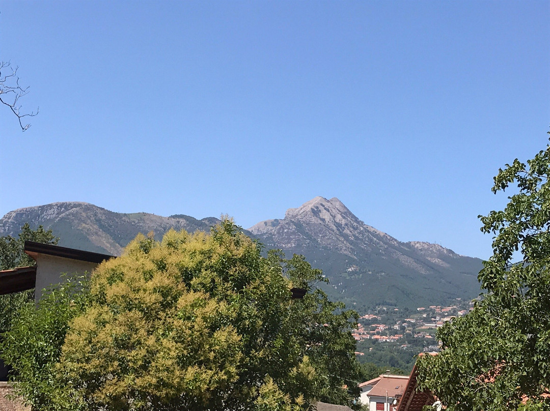 奥斯塔比亚塔苏丽图朵酒店主图