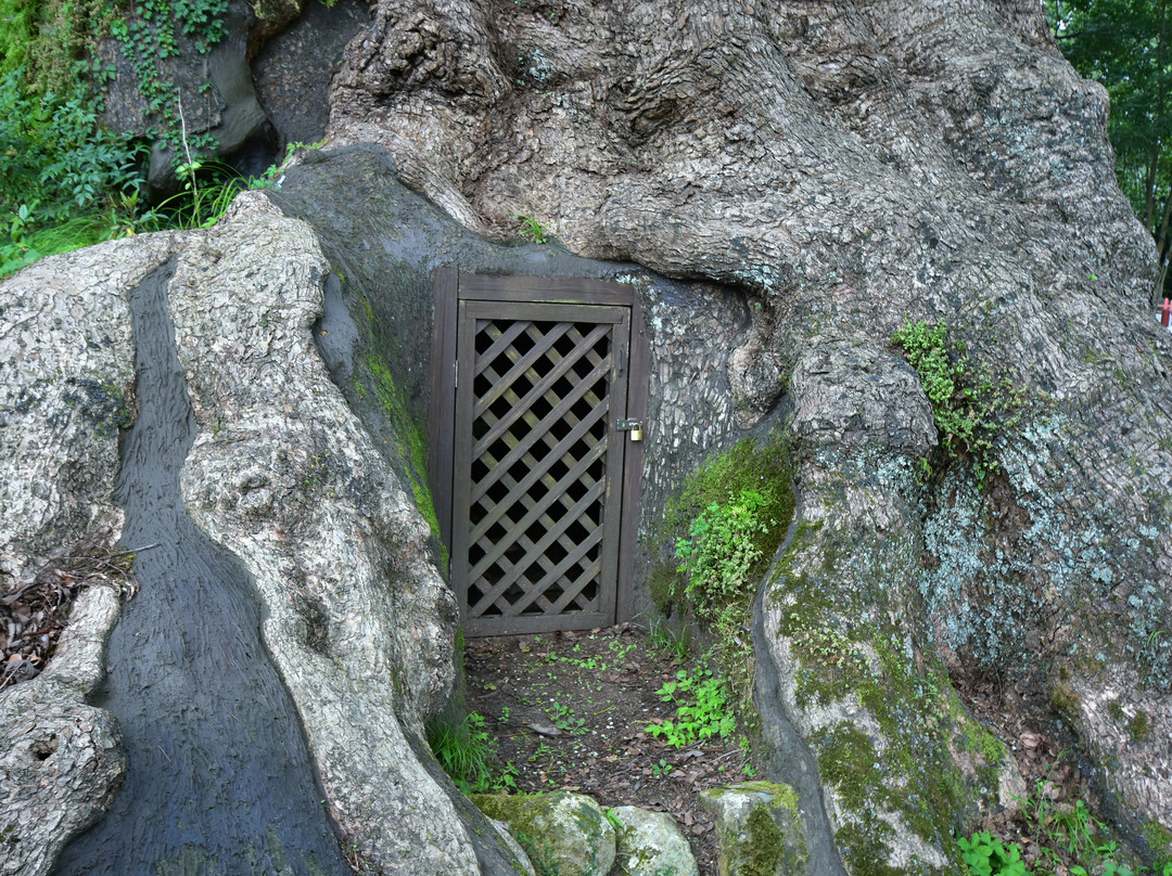 Nihonichi no Kyoju Kamo no Okusu景点图片