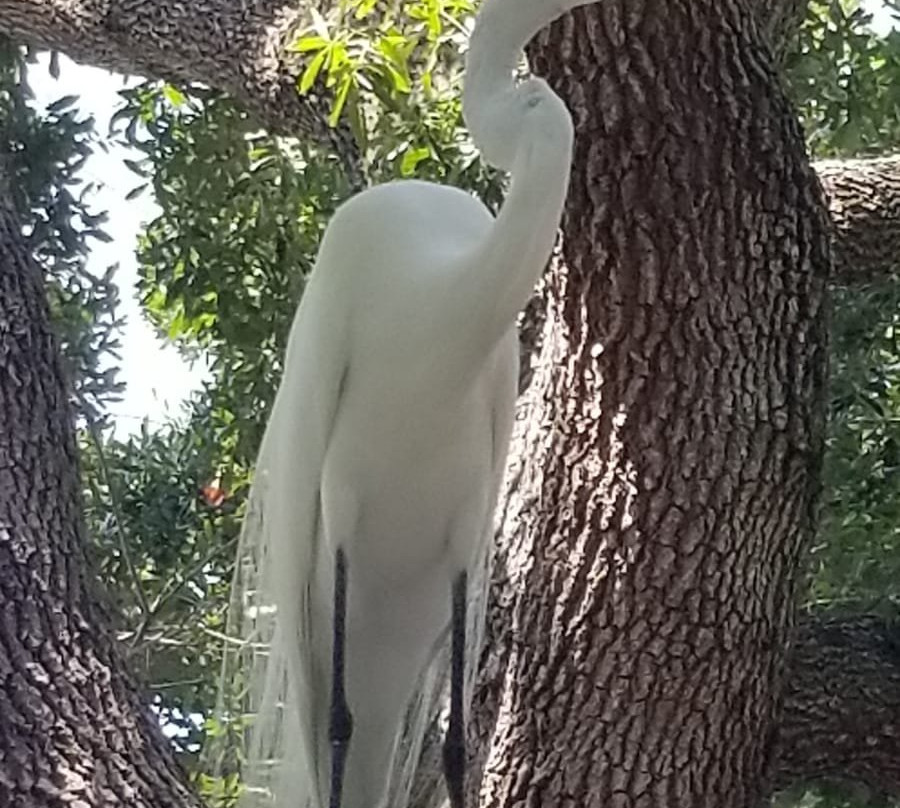 Peace River Wildlife Center景点图片