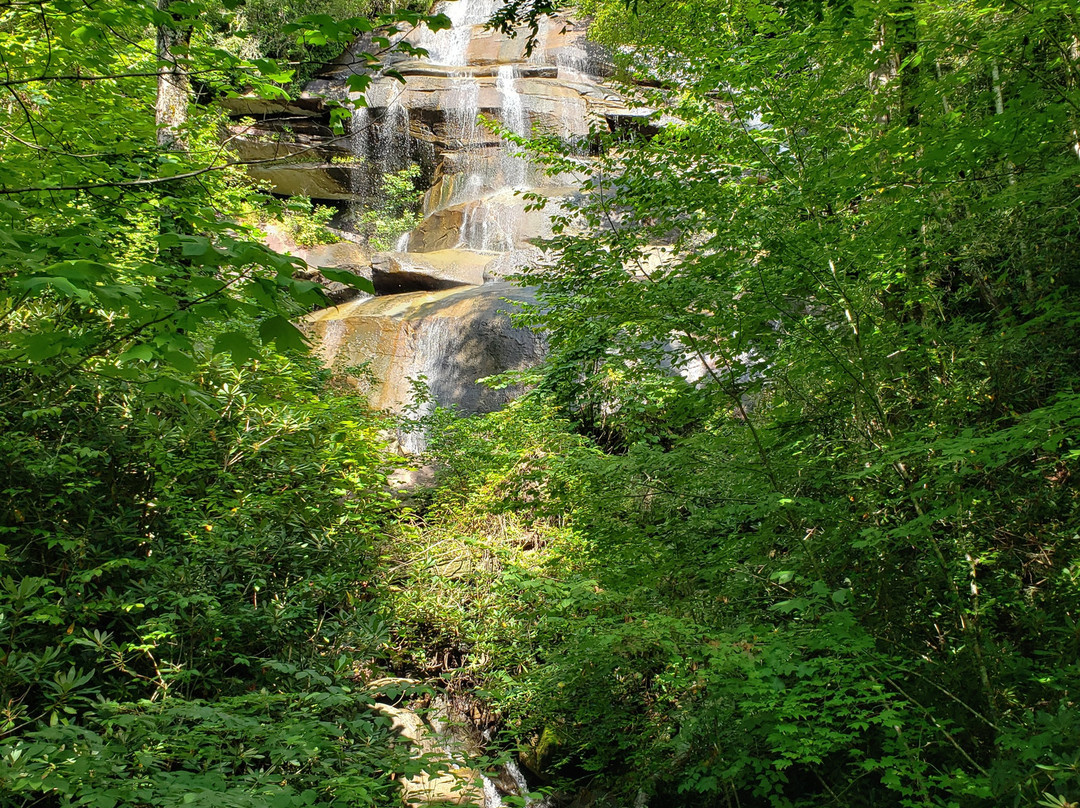 Daniel Ridge Falls景点图片