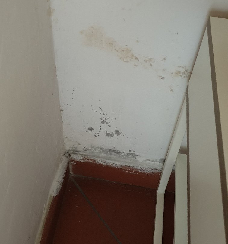 Dante's Relais主图