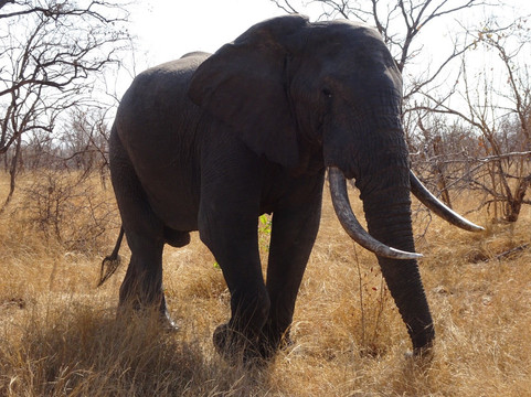 Discover Tours-白河必去景点