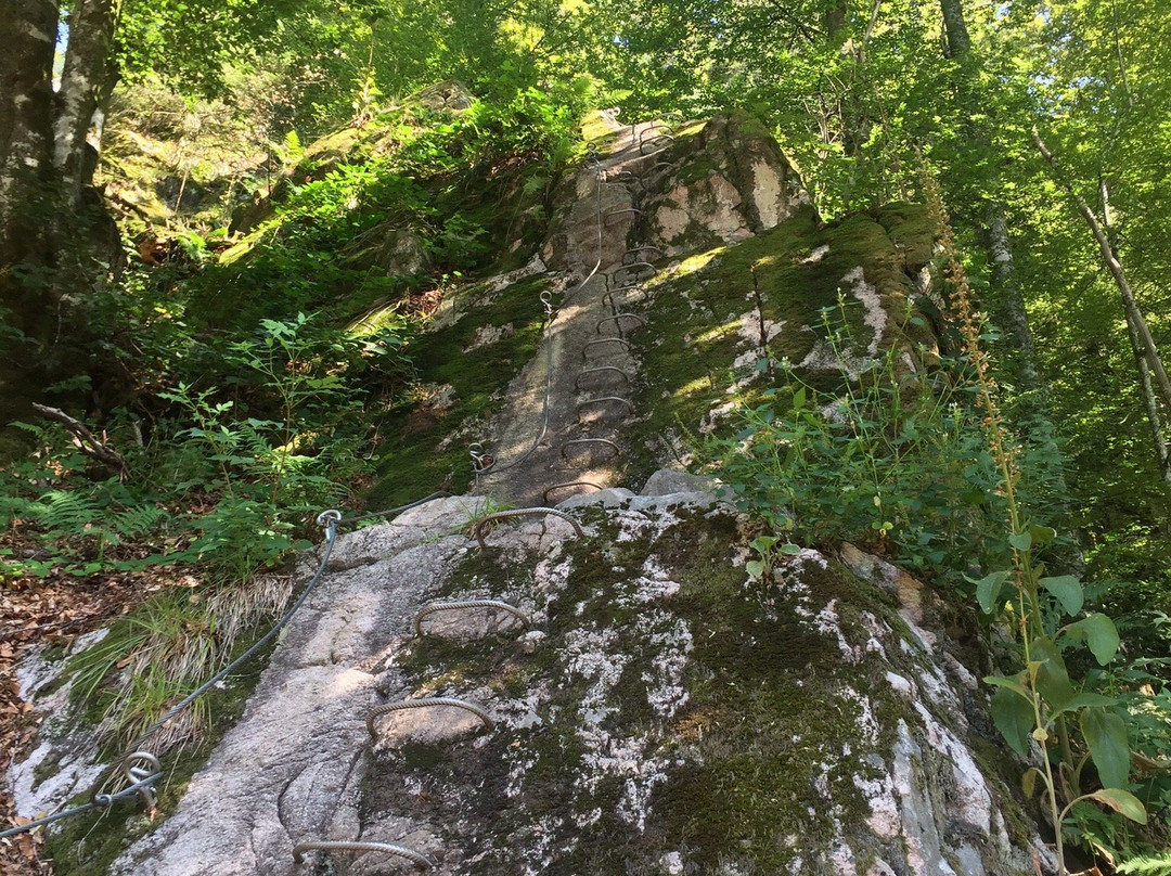 Rando Ferrata Source de la Moselle景点图片