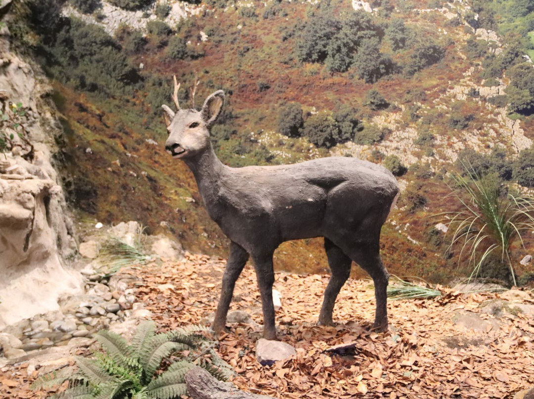 Ecomuseo-Fluviarium de la Montaña y Cuencas Fluviales Pasiegas-Lierganes必去景点