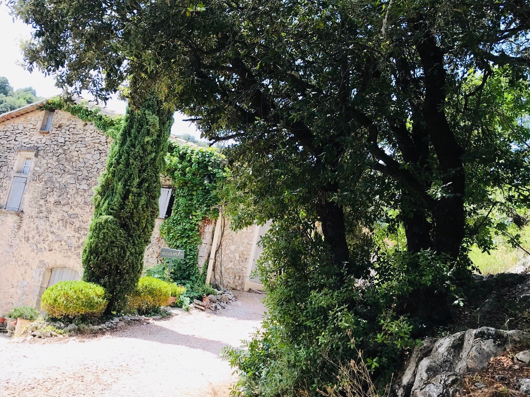 Bastide de la Roquette主图