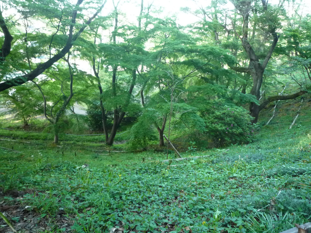 Omiya Shrine-流山市必去景点