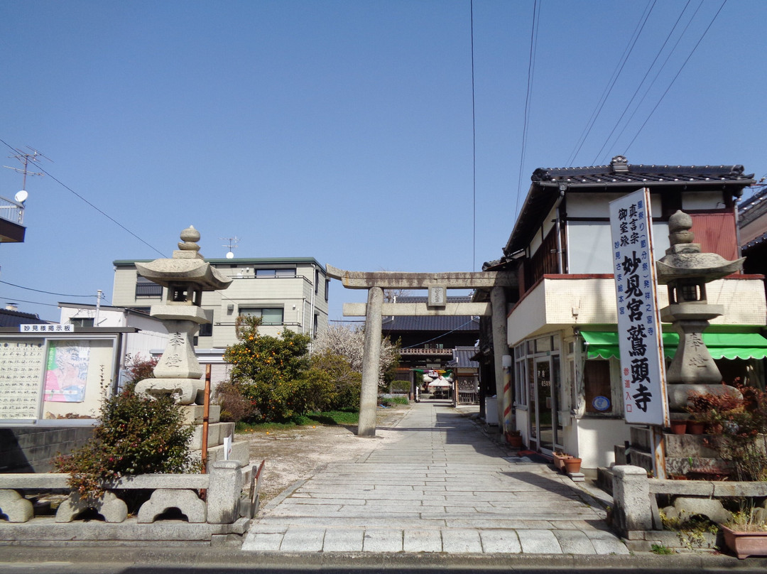 Myokengujuto-ji Temple景点图片