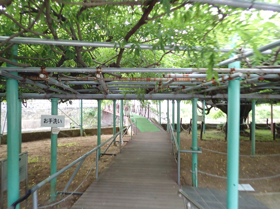 Sasamuta Shrine-大分市必去景点