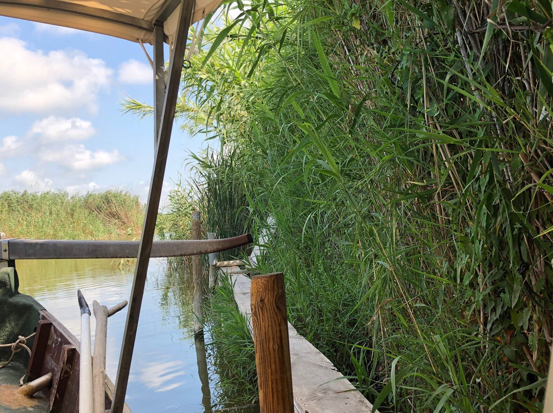 Albufera Parc-巴伦西亚必去景点