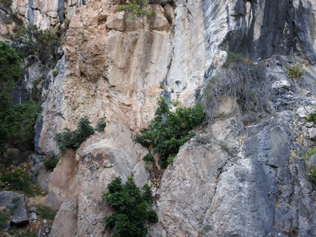 Lipci Rock-Kotor Municipality必去景点