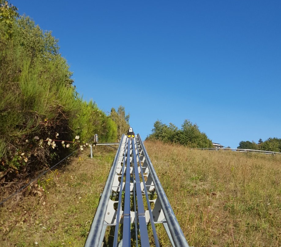 Sommerrodelbahn-Wald-Michelbach必去景点
