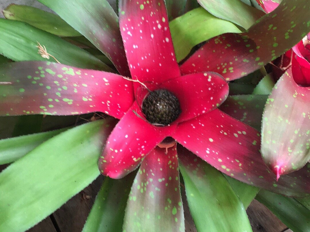 Washington Park-斯普林菲尔德必去景点