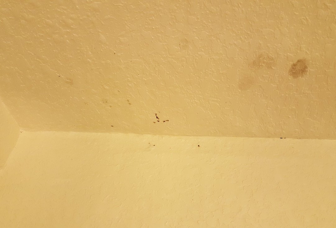 MainStay Suites Orlando Altamonte Springs主图