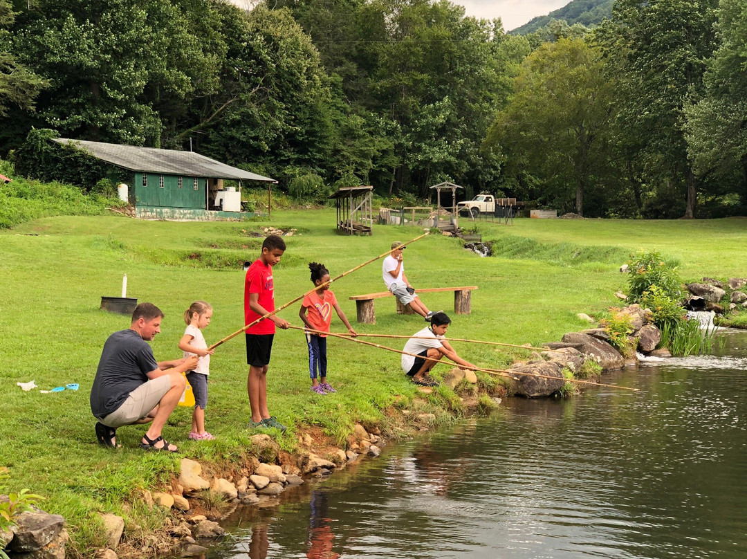 Andy's Trout Farm景点图片