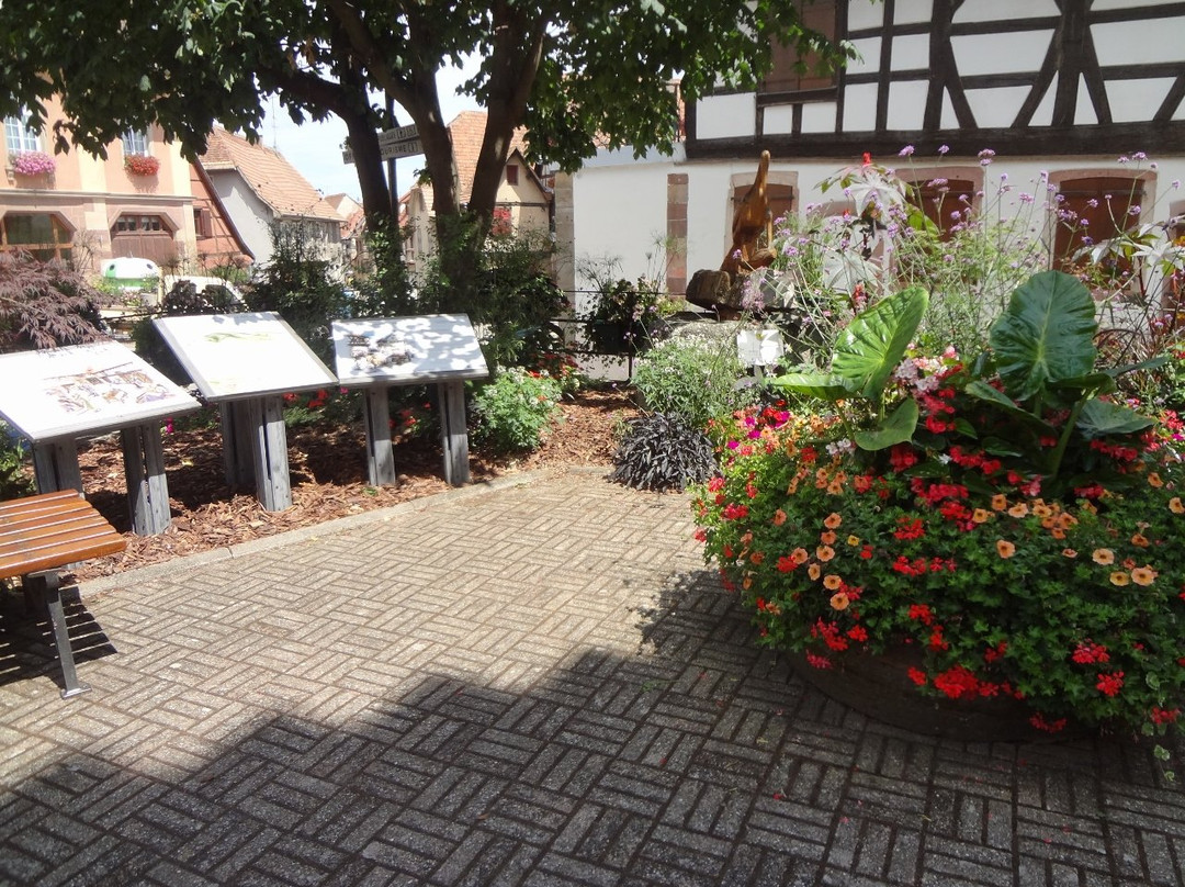 Hôtel de Ville-Dambach-la-Ville必去景点