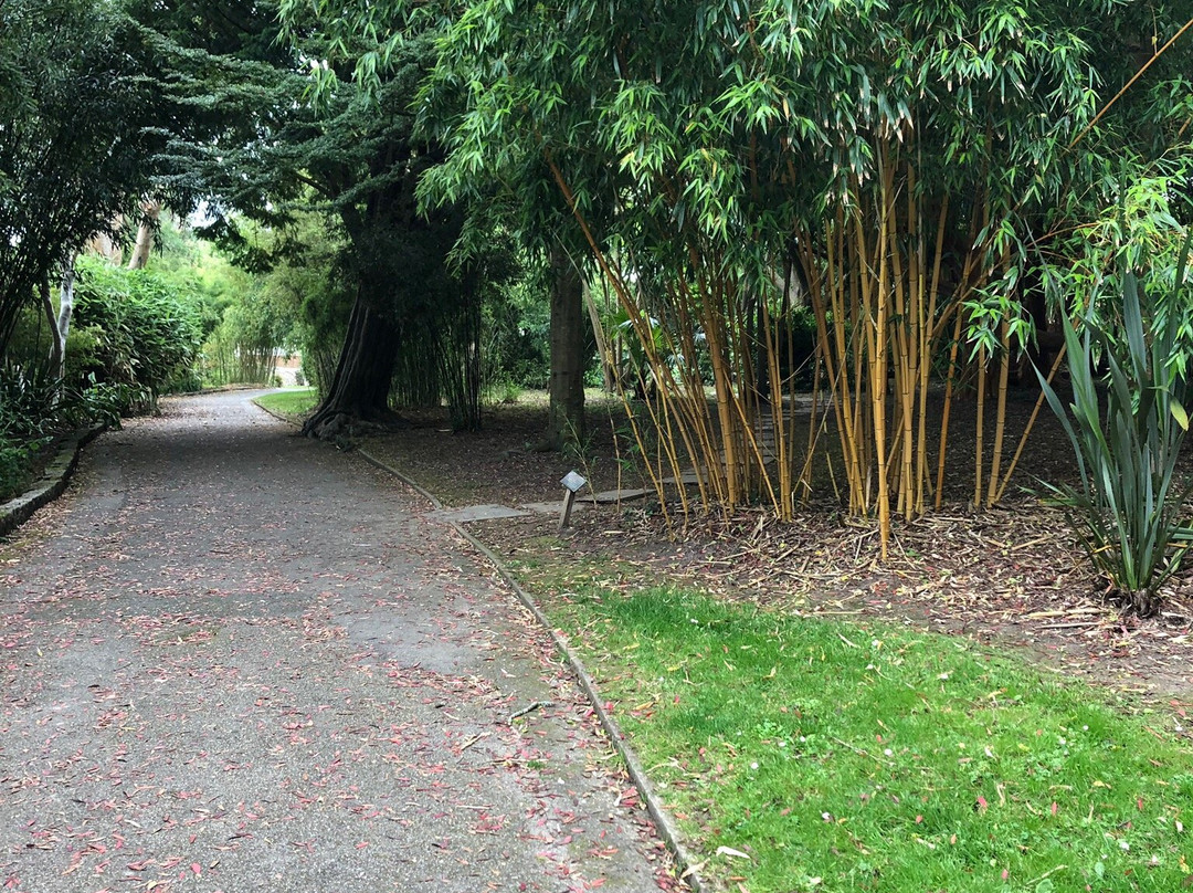 Fox Rosehill Gardens-法尔茅斯必去景点
