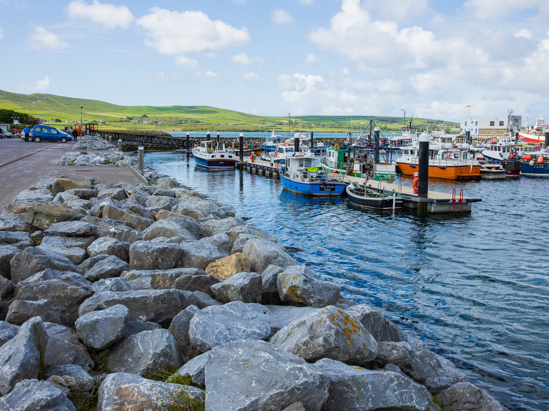 Dingle Bay-丁格尔必去景点