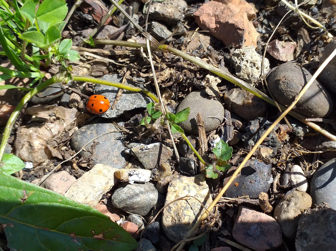 Zenkovskiy Park-Prokopyevsk必去景点