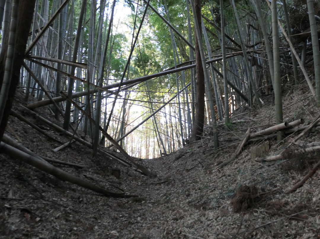 Ushiku Castle Ruins景点图片