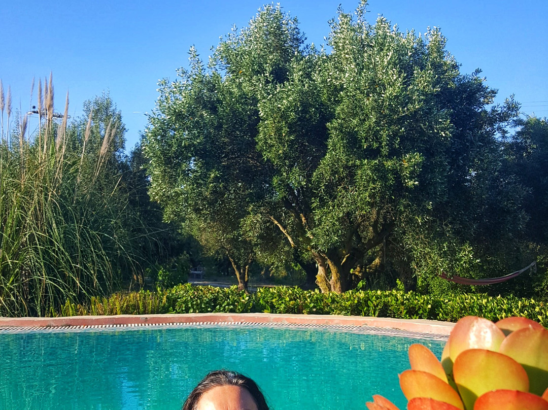 Volidiera Guesthouse主图