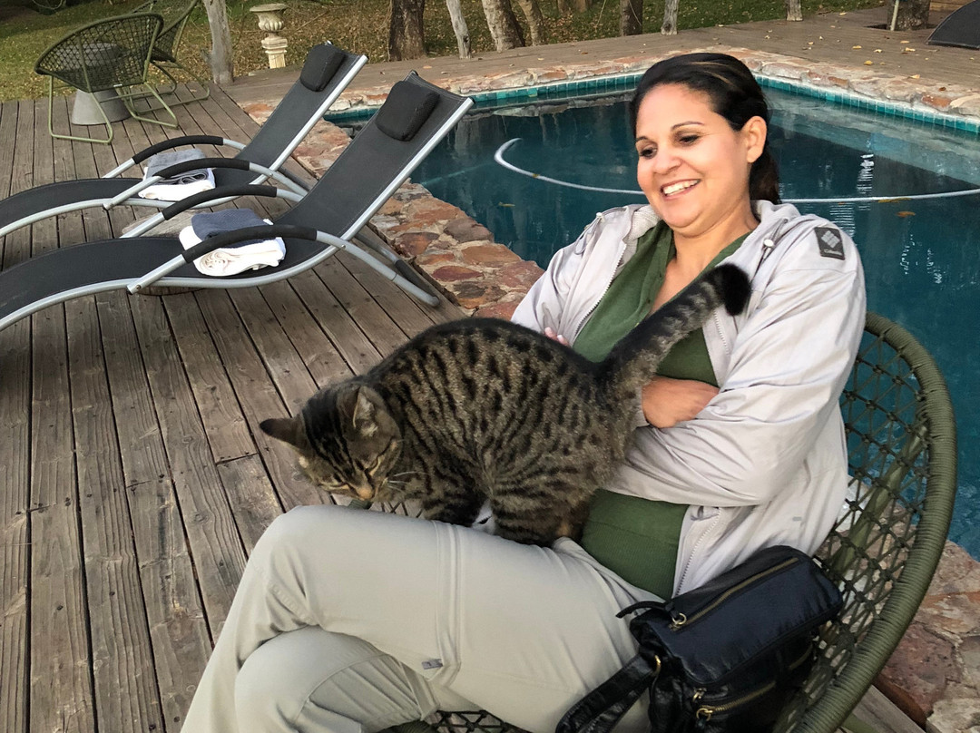 夏日玫瑰度假酒店暨Spa主图