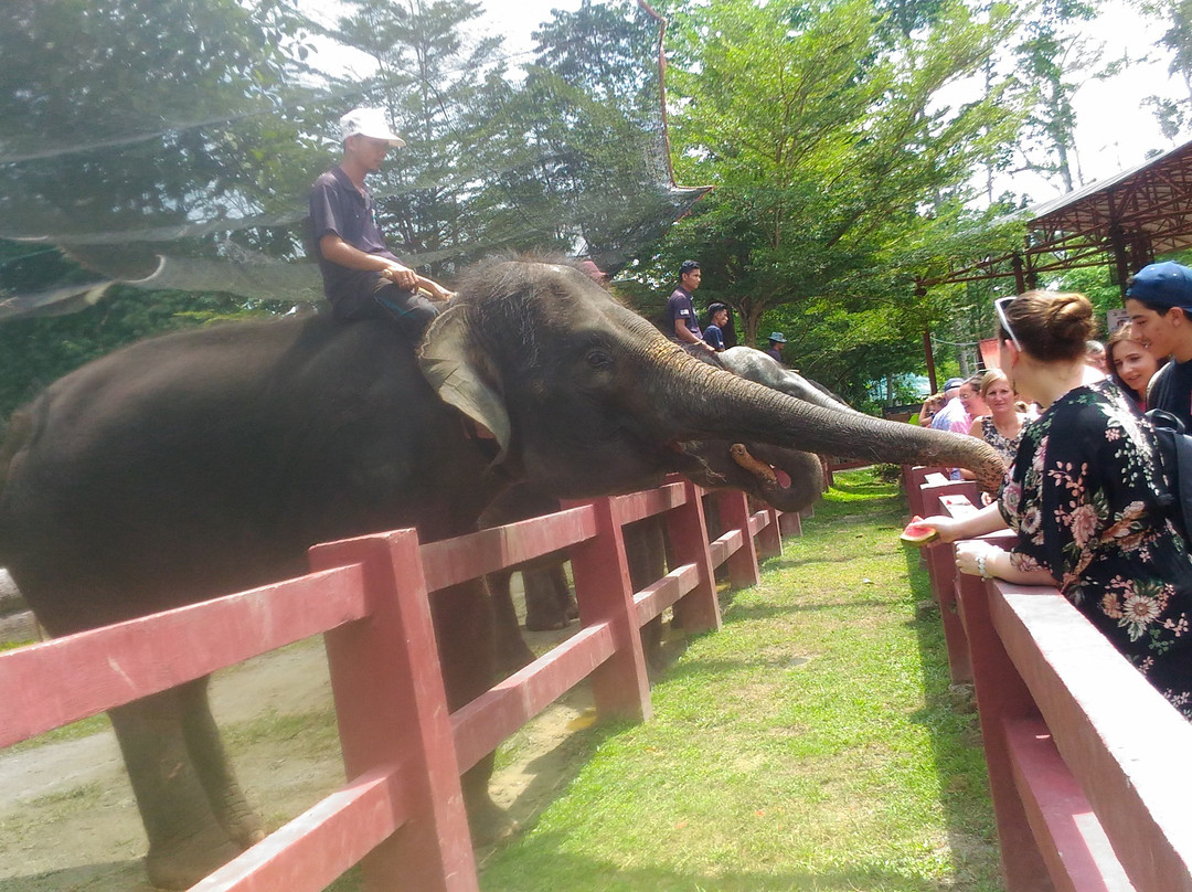 Malaysian Explorations & Adventures-黑风洞必去景点