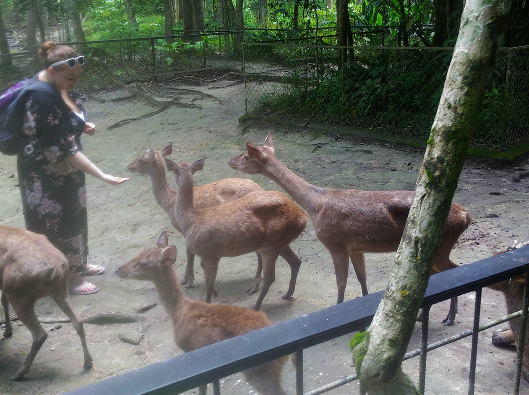 Malaysian Explorations & Adventures-黑风洞必去景点